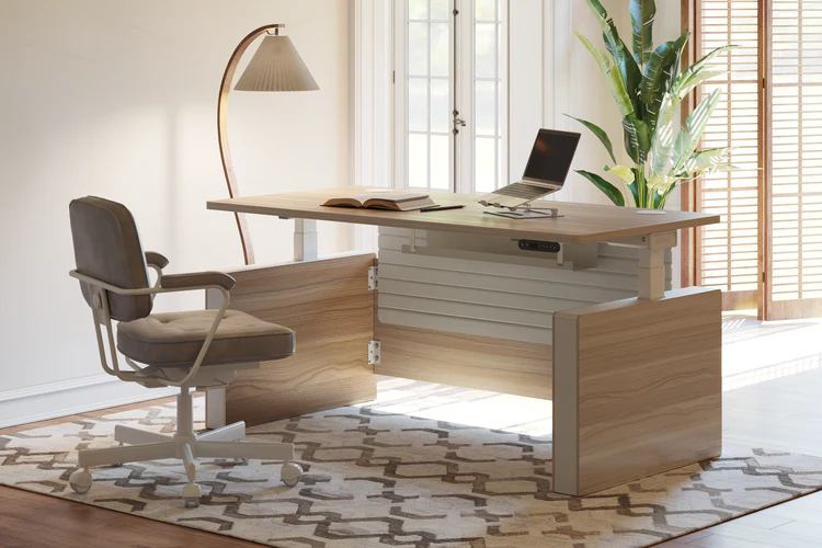 home office setup executive